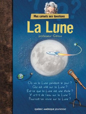 cover image of Mes carnets aux questions